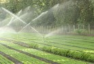 Palmerston ACTlandscaping-irrigation-11.jpg; ?>