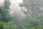 Palmerston ACTlandscaping-irrigation-4.jpg; ?>